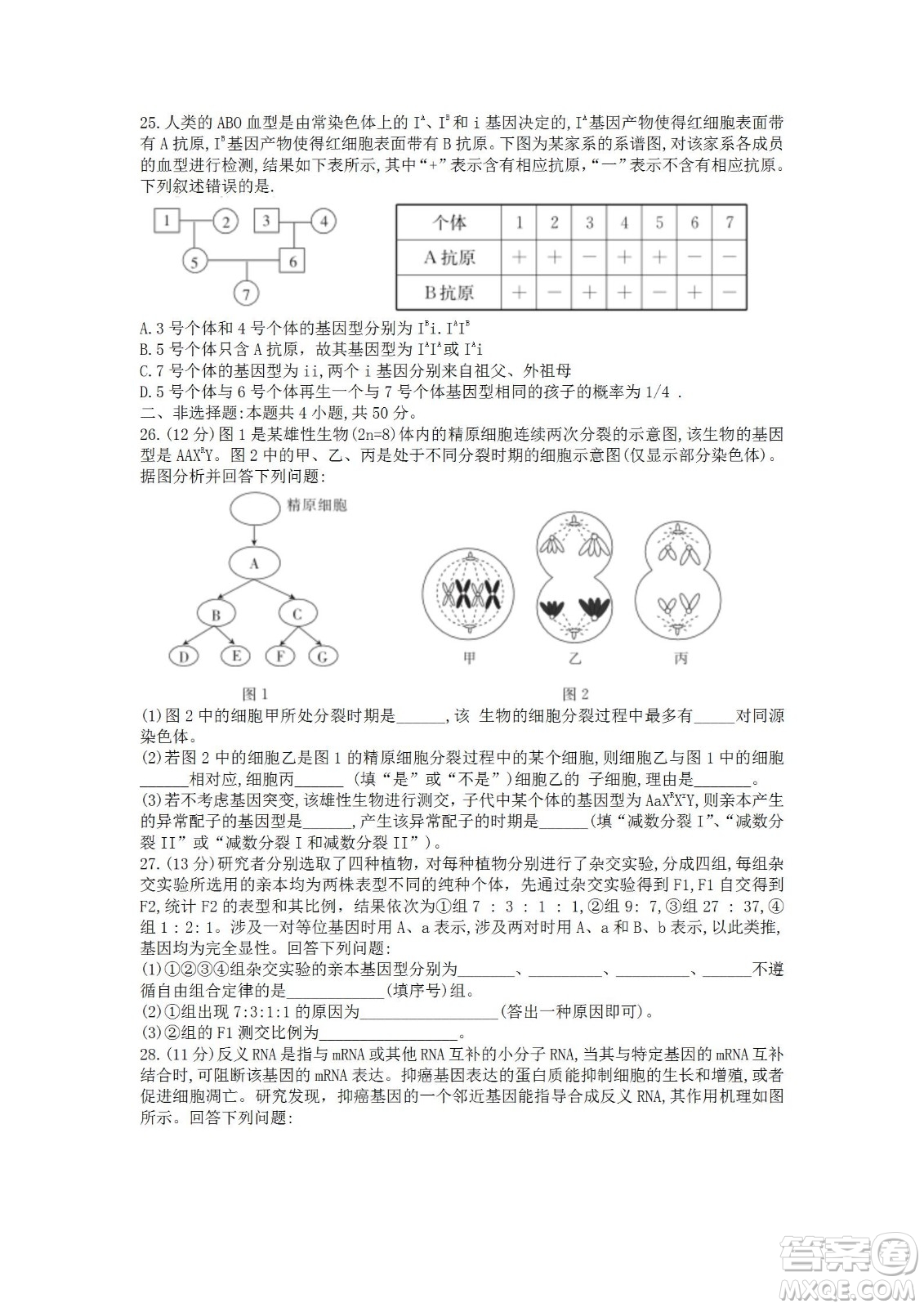 湖北省十堰市2021-2022學(xué)年下學(xué)期期末調(diào)研考試高一生物試題及答案