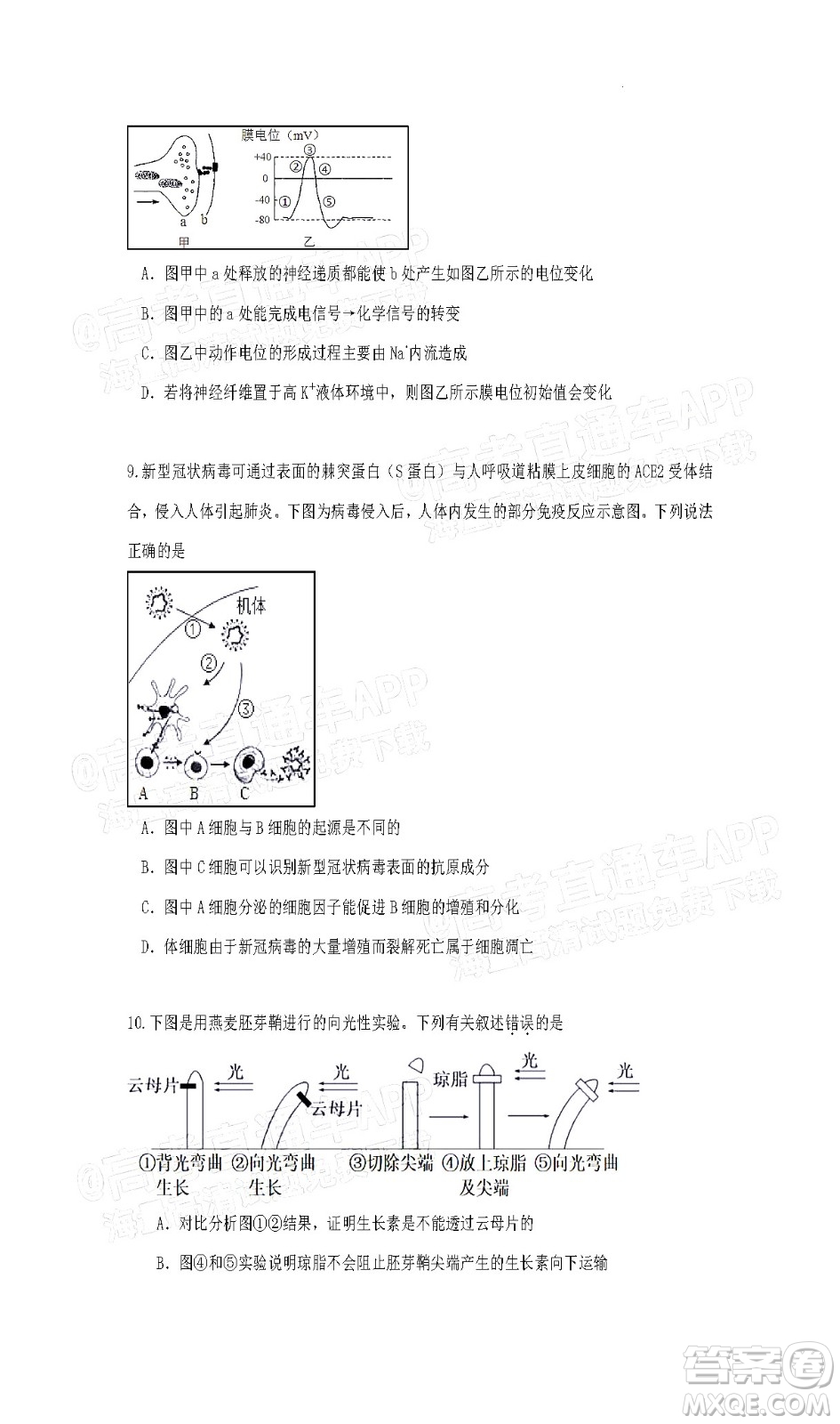 惠州市2023屆高三第一次調(diào)研考試生物試題及答案