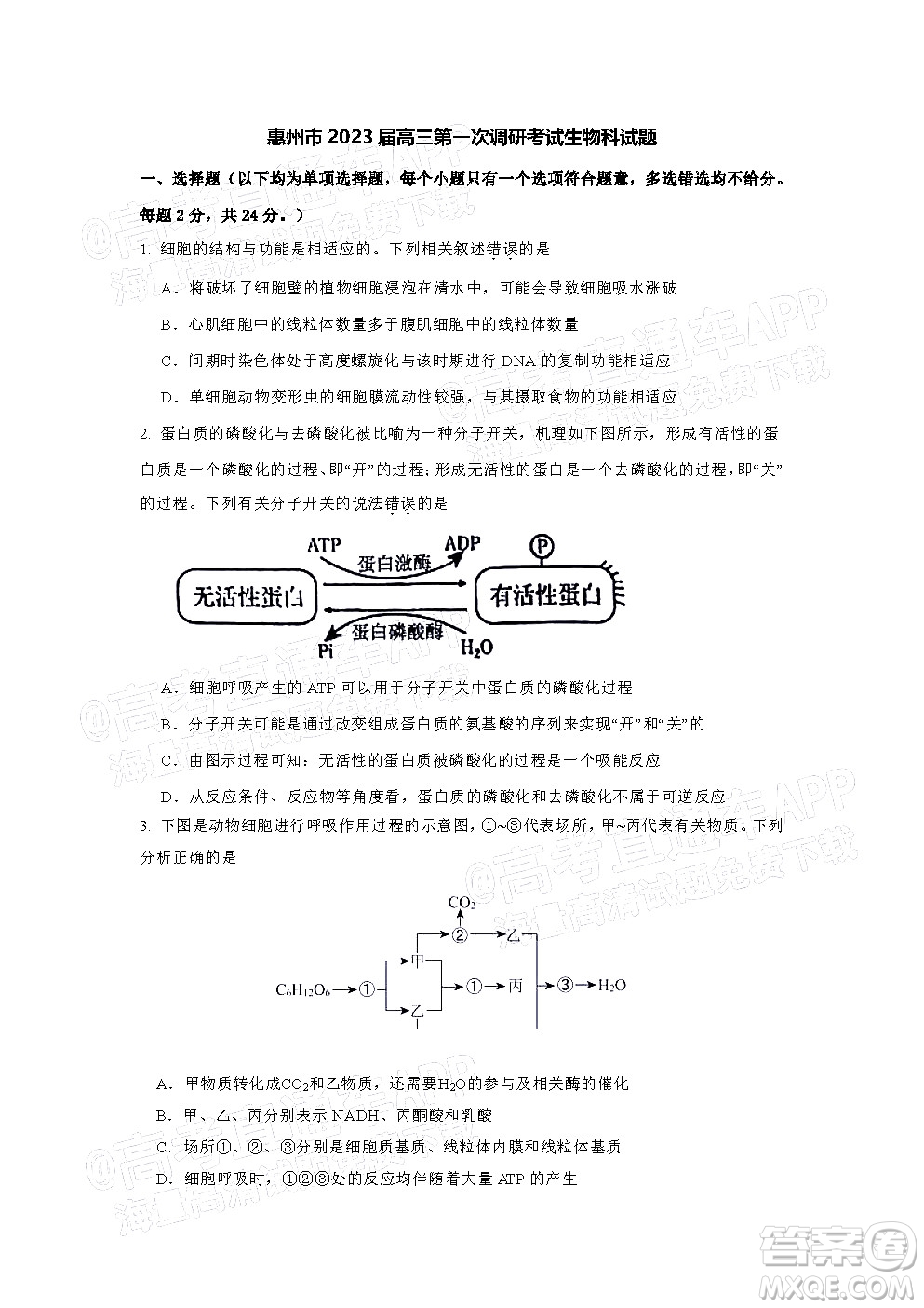 惠州市2023屆高三第一次調(diào)研考試生物試題及答案