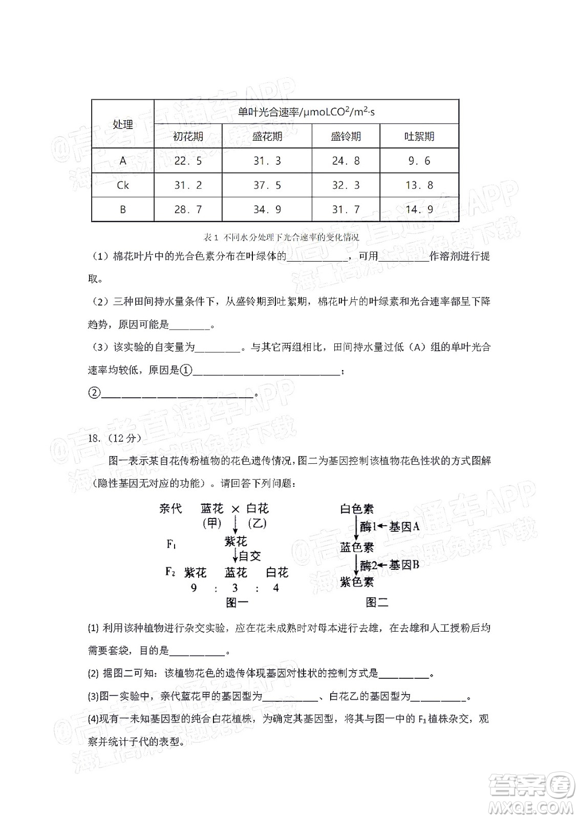 惠州市2023屆高三第一次調(diào)研考試生物試題及答案