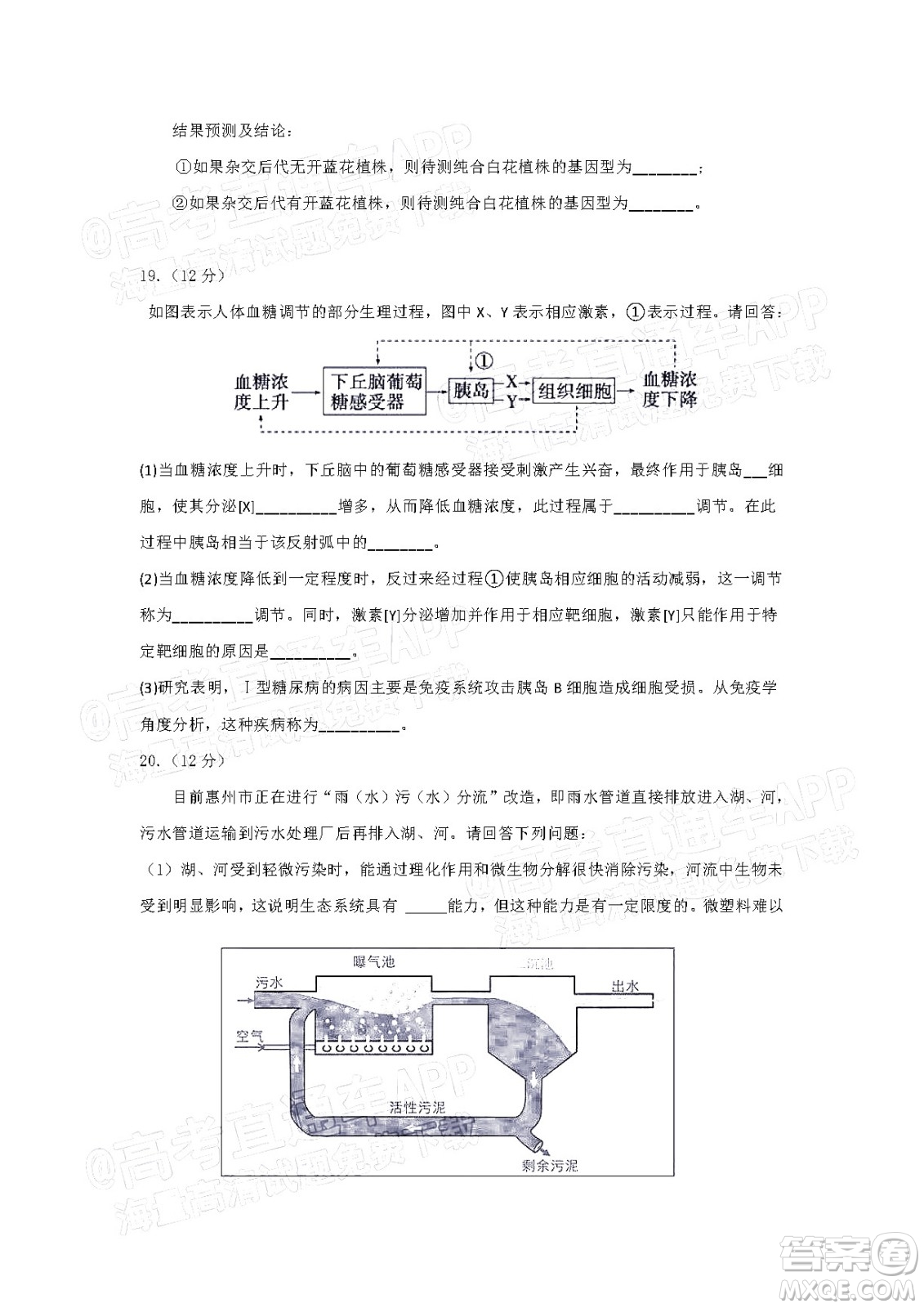 惠州市2023屆高三第一次調(diào)研考試生物試題及答案