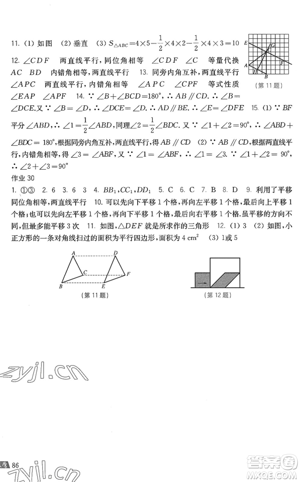 上?？茖W(xué)技術(shù)出版社2022暑假作業(yè)七年級(jí)數(shù)學(xué)滬科版答案