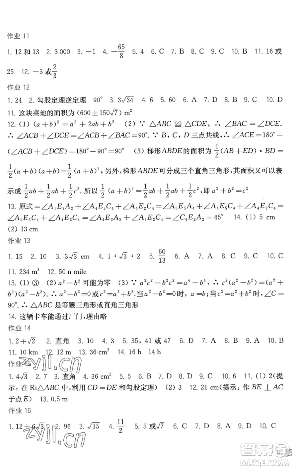 上海科學(xué)技術(shù)出版社2022暑假作業(yè)八年級(jí)數(shù)學(xué)滬科版答案