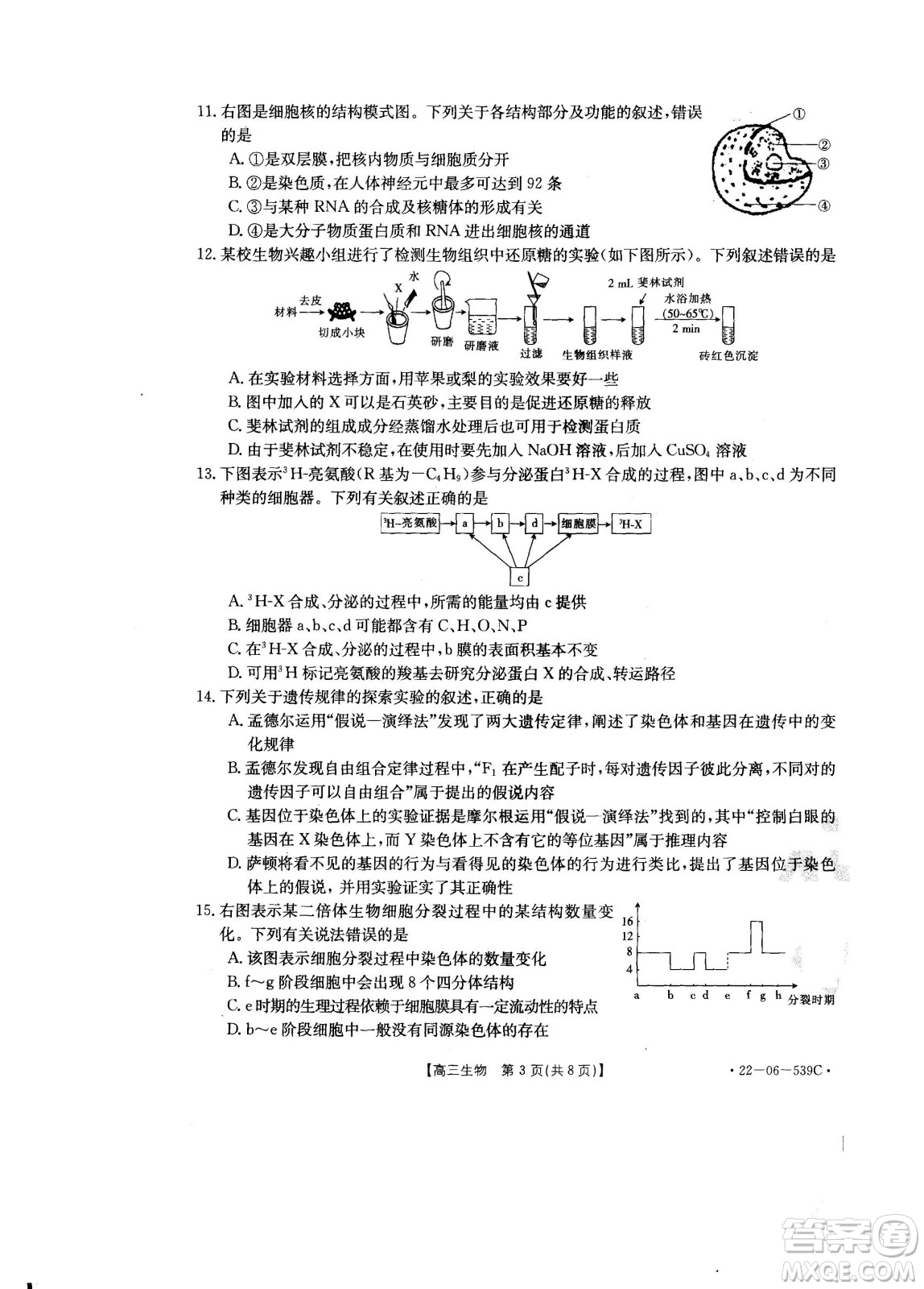 洛陽創(chuàng)新發(fā)展聯(lián)盟2023屆高三摸底考試生物試題及答案