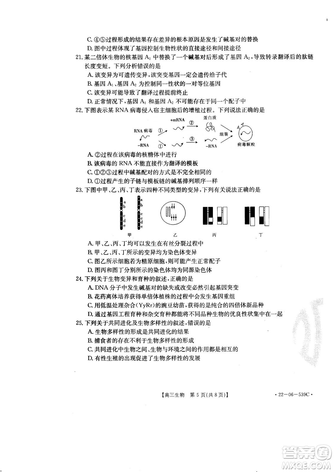 洛陽創(chuàng)新發(fā)展聯(lián)盟2023屆高三摸底考試生物試題及答案