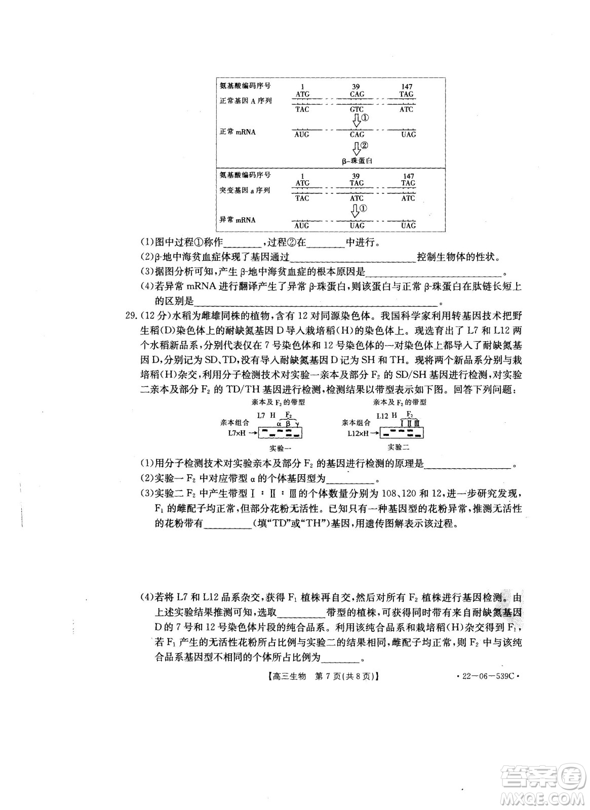 洛陽創(chuàng)新發(fā)展聯(lián)盟2023屆高三摸底考試生物試題及答案