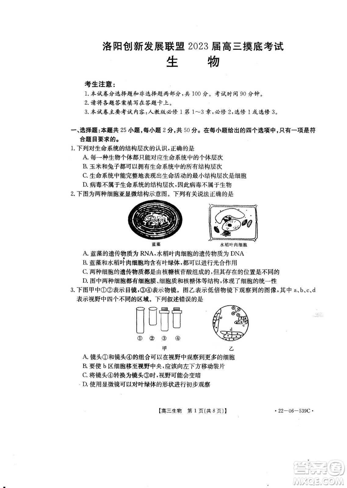 洛陽創(chuàng)新發(fā)展聯(lián)盟2023屆高三摸底考試生物試題及答案