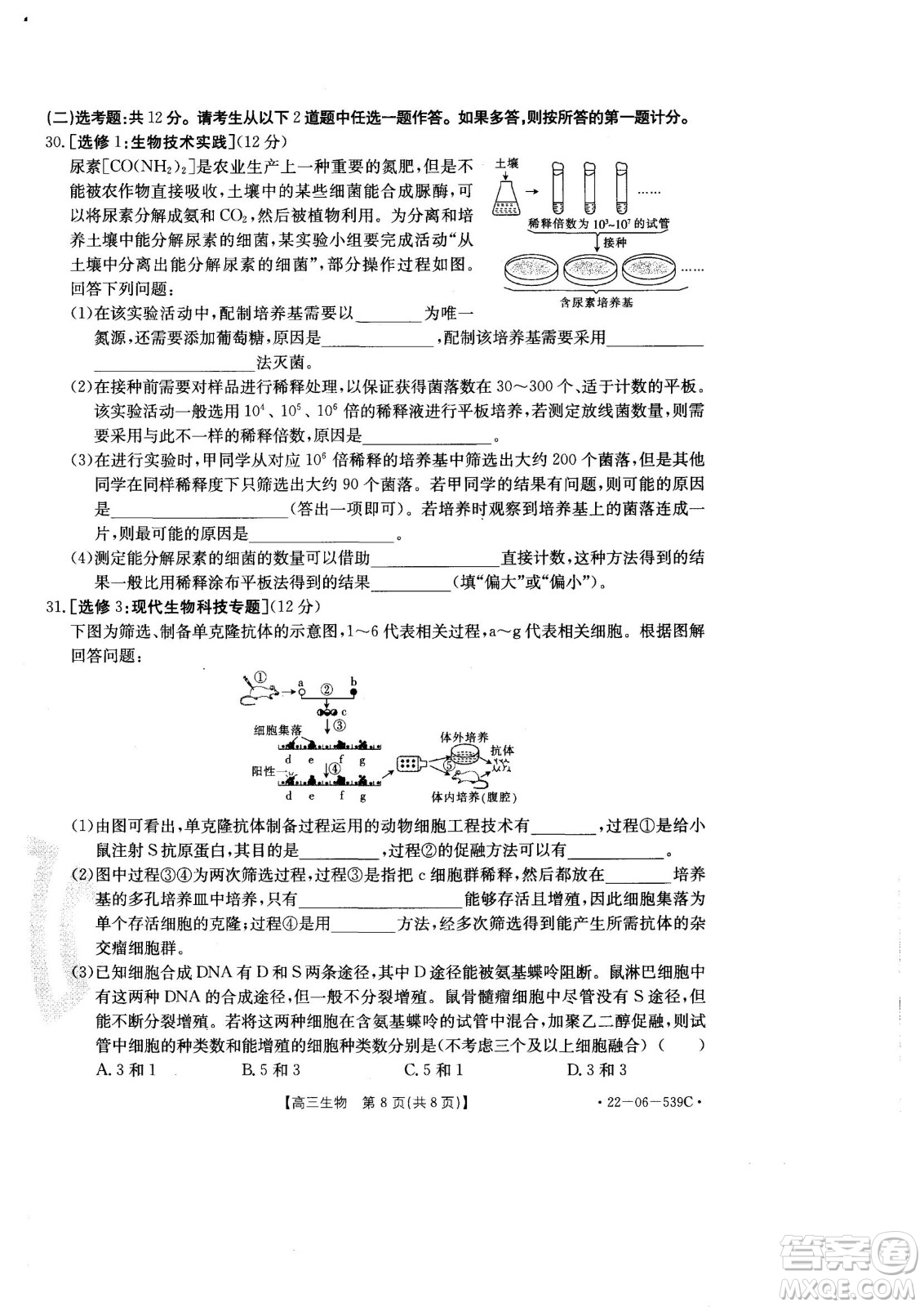 洛陽創(chuàng)新發(fā)展聯(lián)盟2023屆高三摸底考試生物試題及答案