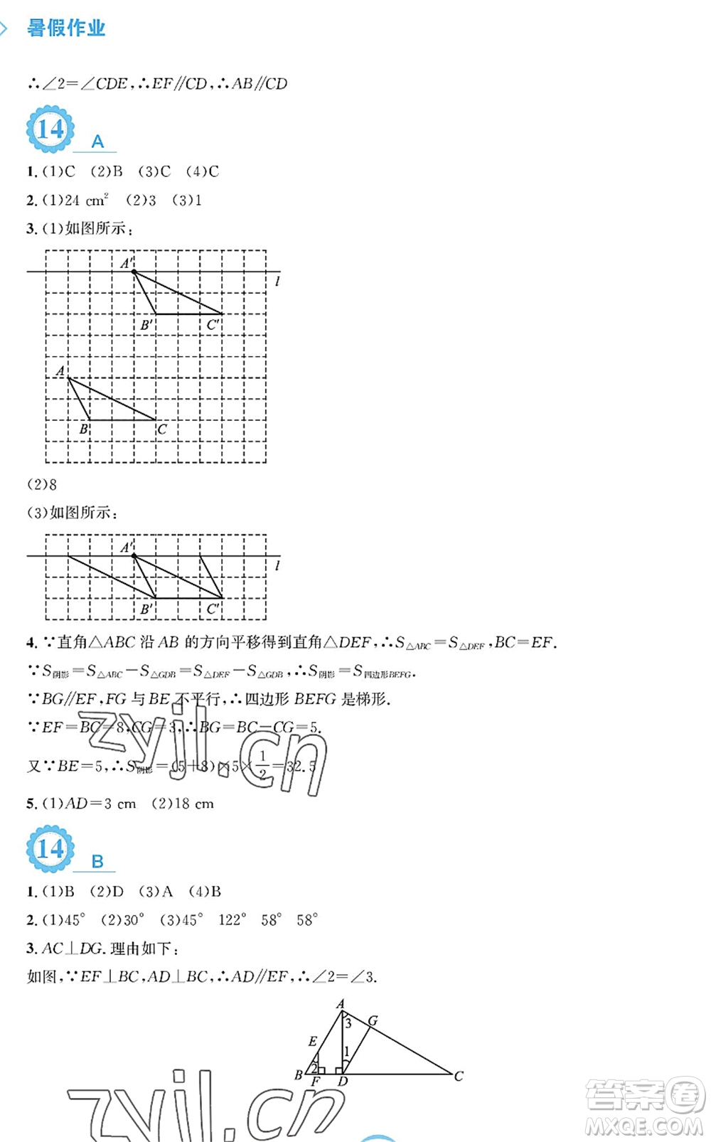 安徽教育出版社2022暑假作業(yè)七年級(jí)數(shù)學(xué)通用版S答案