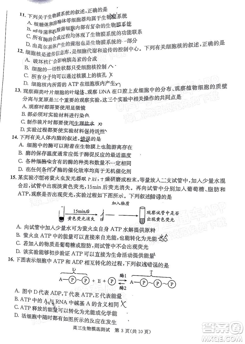 成都市2020級(jí)高中畢業(yè)班摸底測(cè)試生物試題及答案