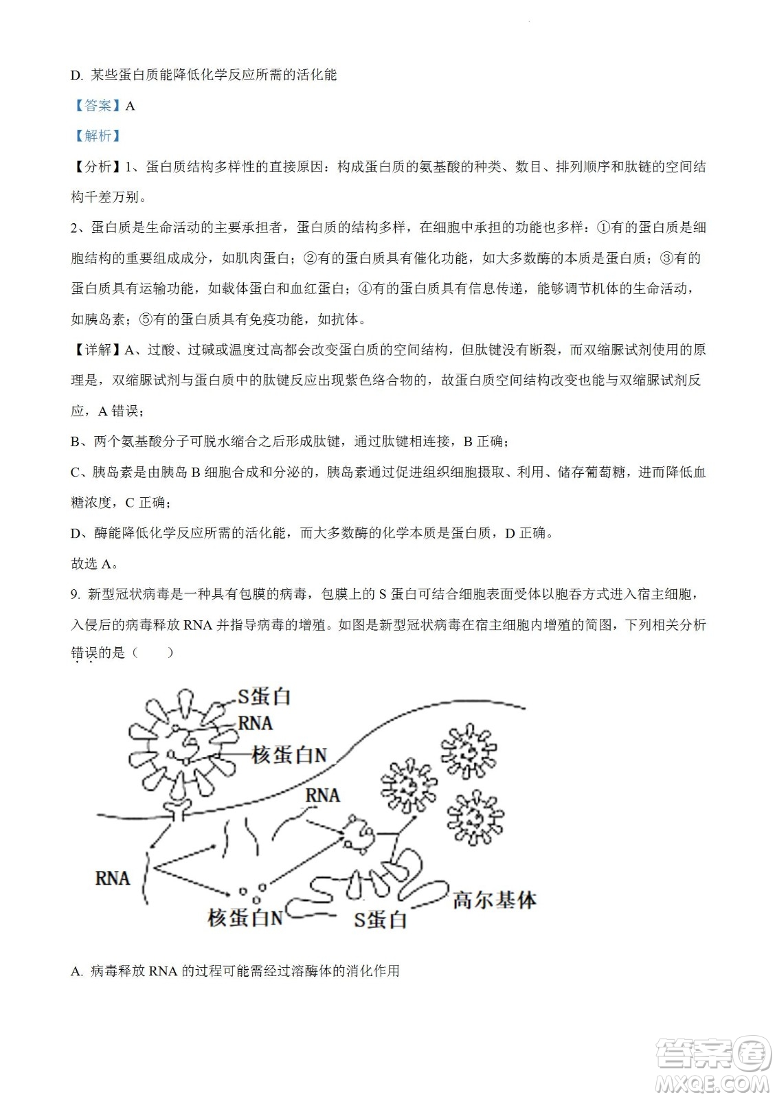 河南洛陽市強基聯(lián)盟23屆新高三摸底大聯(lián)考生物試題及答案