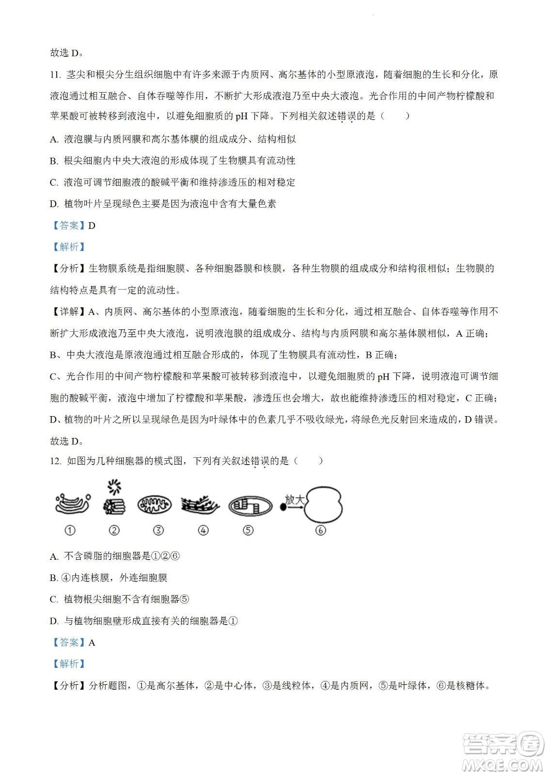 河南洛陽市強基聯(lián)盟23屆新高三摸底大聯(lián)考生物試題及答案