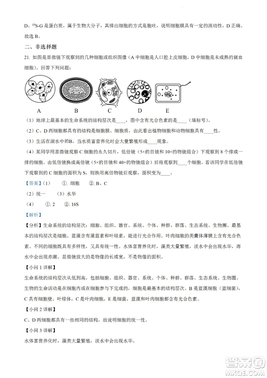 河南洛陽市強基聯(lián)盟23屆新高三摸底大聯(lián)考生物試題及答案