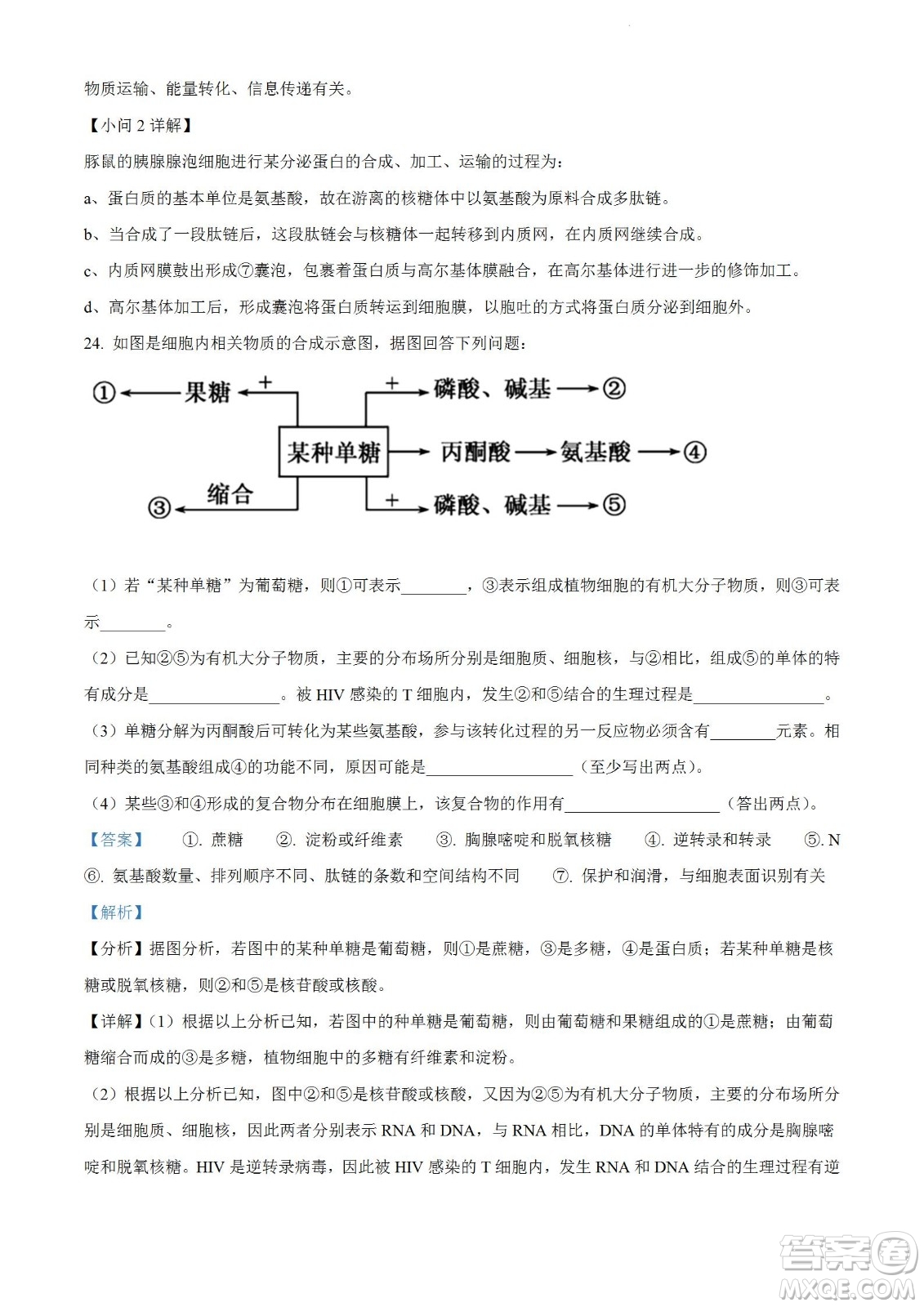 河南洛陽市強基聯(lián)盟23屆新高三摸底大聯(lián)考生物試題及答案