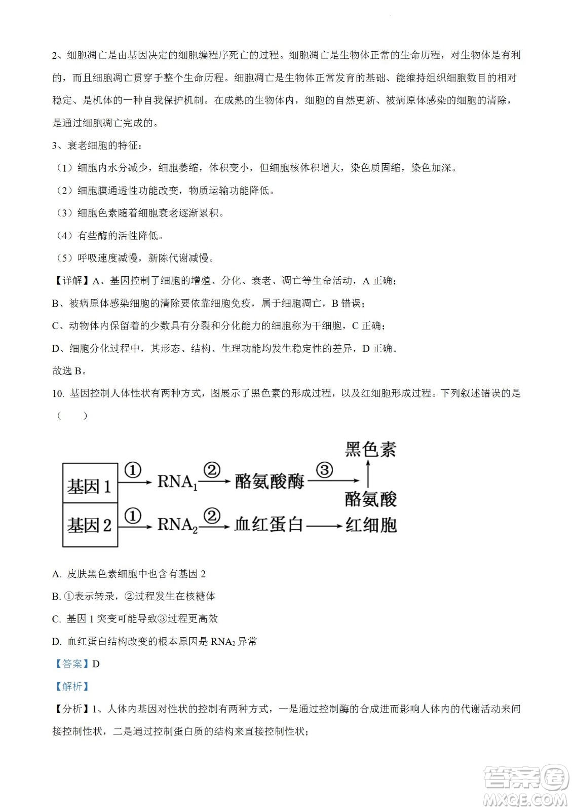 柳州市2023屆新高三摸底考試生物試題及答案