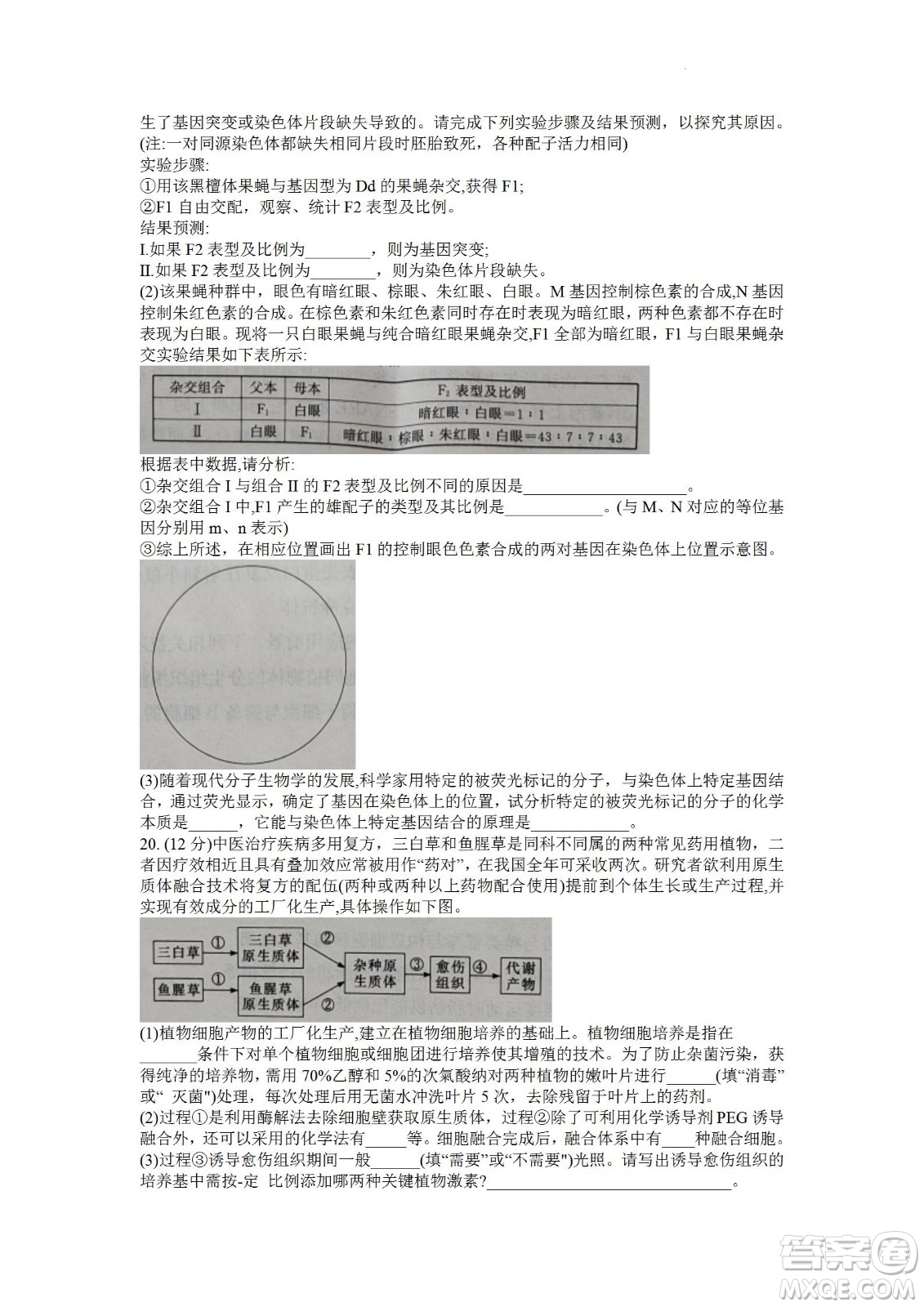 湖南省長(zhǎng)郡中學(xué)2021-2022學(xué)年高二下學(xué)期期末考試生物試題及答案