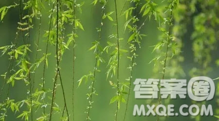 想象動植物的夢作文400字 關(guān)于動植物的夢的想象作文400字