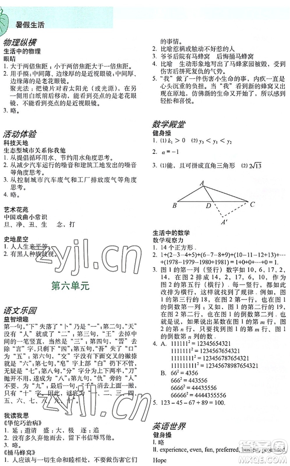 上海教育出版社2022暑假生活八年級合訂本通用版答案