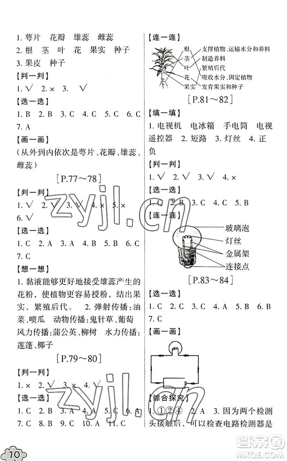 浙江少年兒童出版社2022暑假學(xué)與練四年級數(shù)學(xué)B北師版科學(xué)J教科版答案