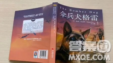 傘兵犬格雷讀后感500字 關(guān)于傘兵犬格雷的讀后感500字