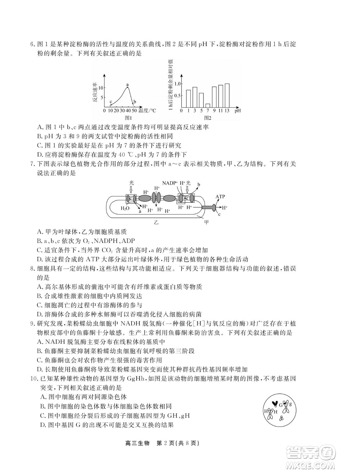 贛撫吉十一聯(lián)盟2023屆高三第一次聯(lián)考生物試卷及答案