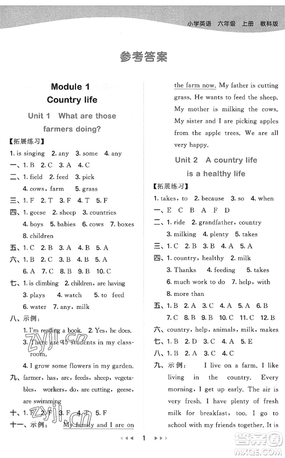 教育科學(xué)出版社2022秋季53天天練六年級(jí)英語(yǔ)上冊(cè)教科版廣州專版答案