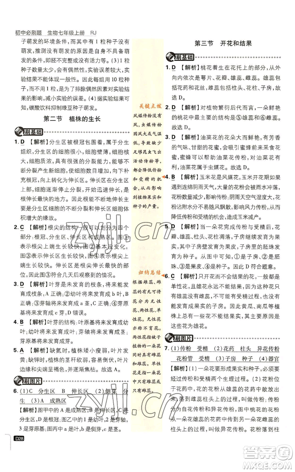 開明出版社2023初中必刷題七年級上冊生物人教版參考答案