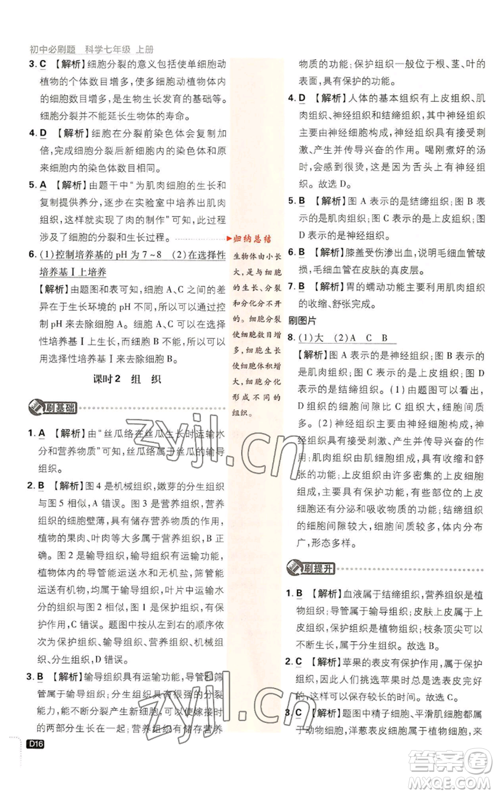 新世界出版社2023初中必刷題七年級上冊科學(xué)浙教版參考答案