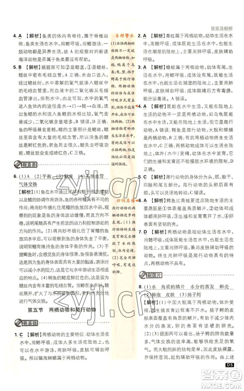 開明出版社2023初中必刷題八年級上冊生物人教版參考答案