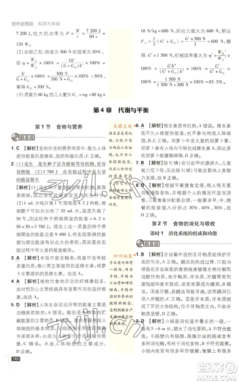 新世界出版社2023初中必刷題九年級(jí)上冊科學(xué)浙教版浙江專版參考答案