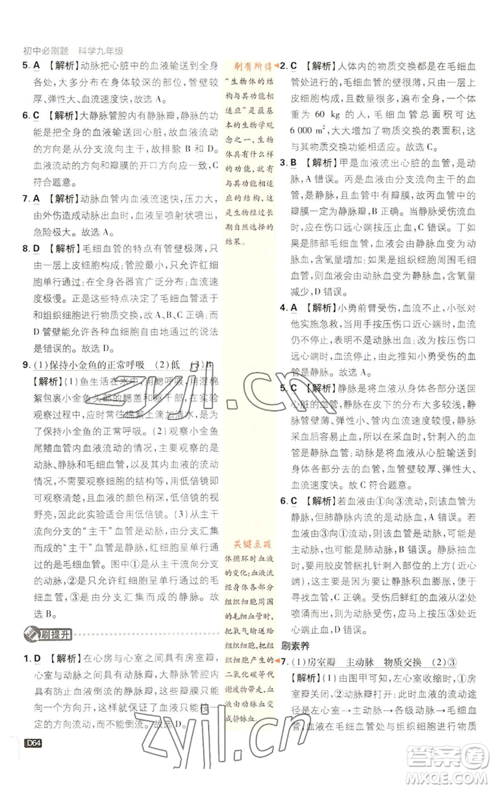 新世界出版社2023初中必刷題九年級(jí)上冊科學(xué)浙教版浙江專版參考答案