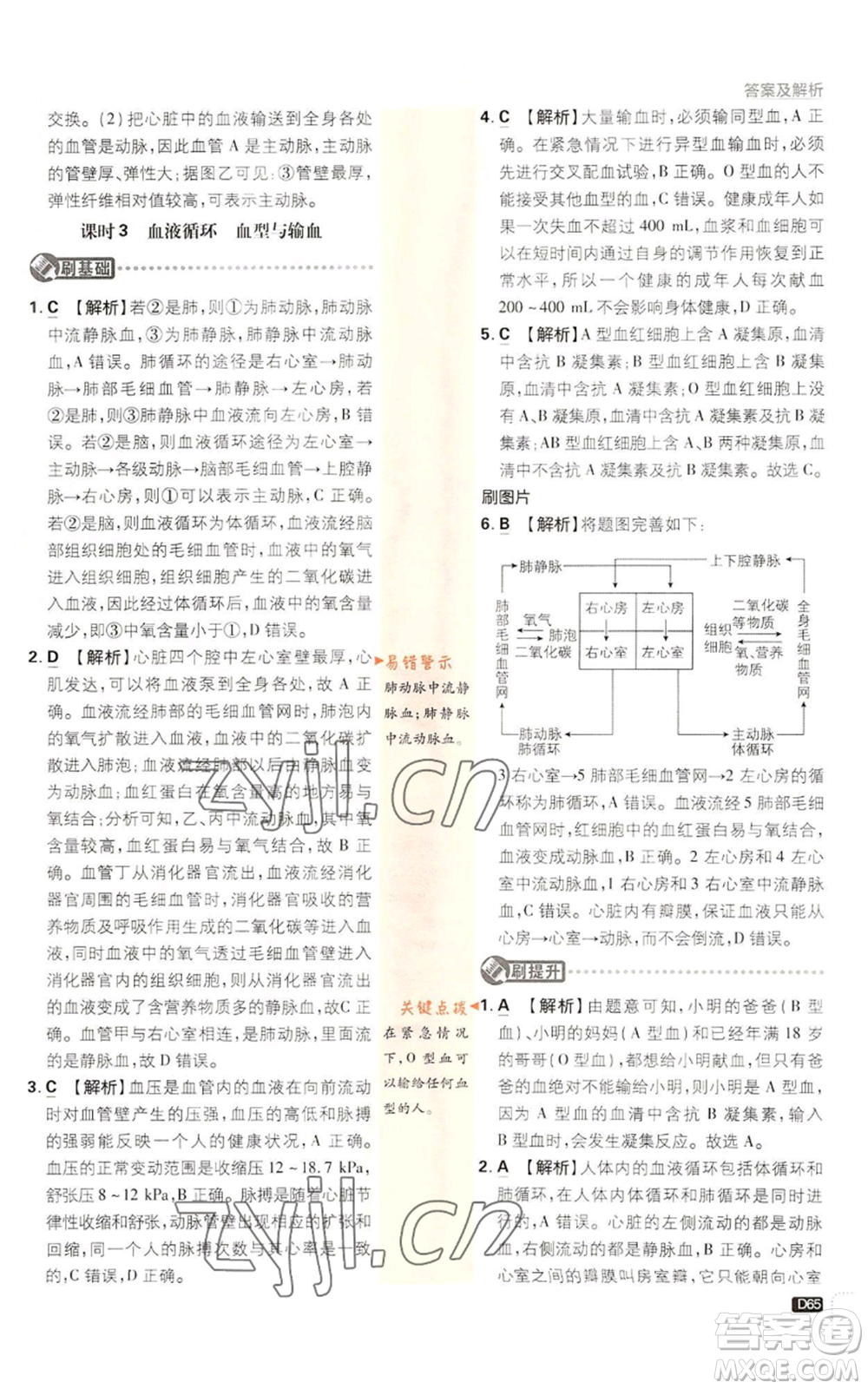 新世界出版社2023初中必刷題九年級(jí)上冊科學(xué)浙教版浙江專版參考答案