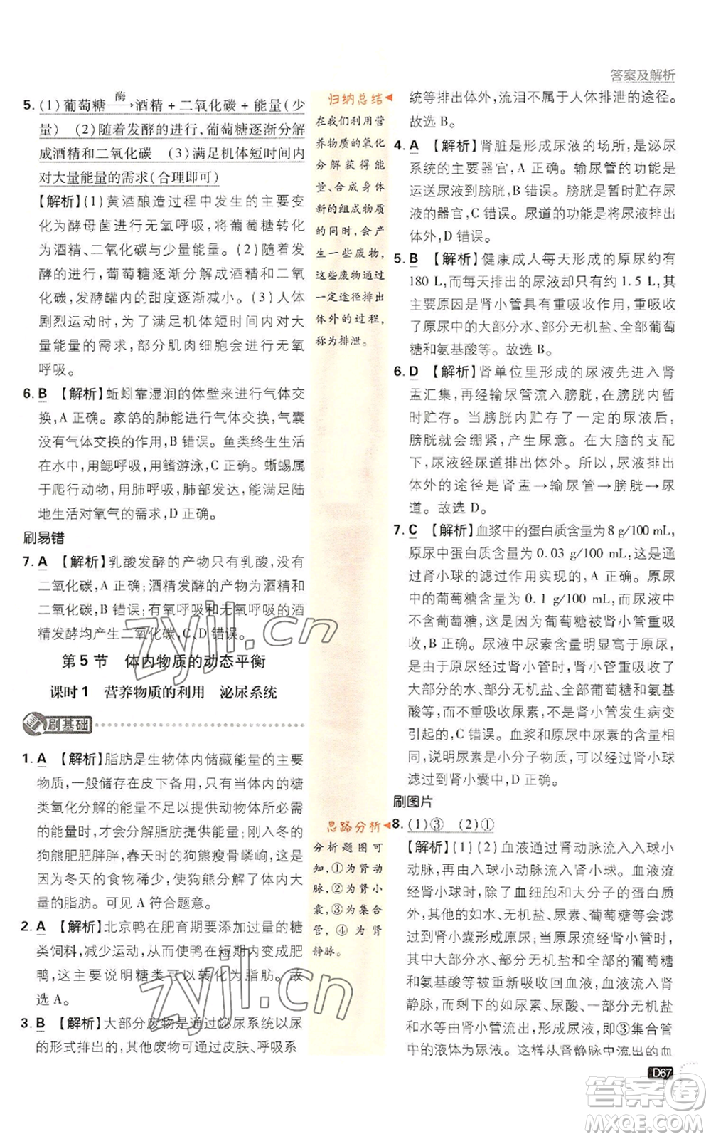 新世界出版社2023初中必刷題九年級(jí)上冊科學(xué)浙教版浙江專版參考答案