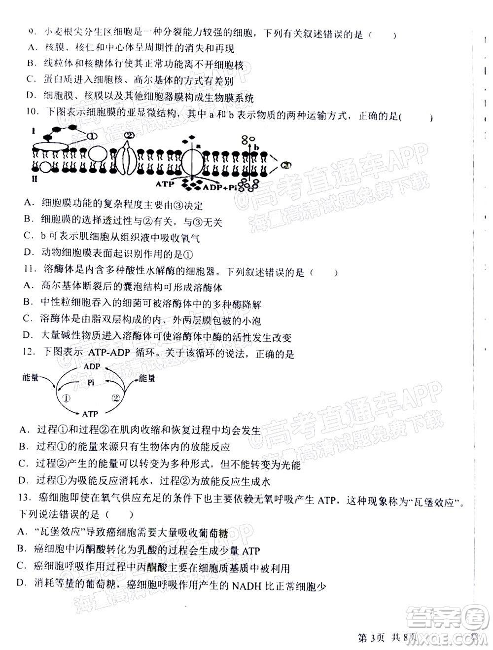 2023屆河北深州中學(xué)高三年級(jí)第一次月考生物試題及答案