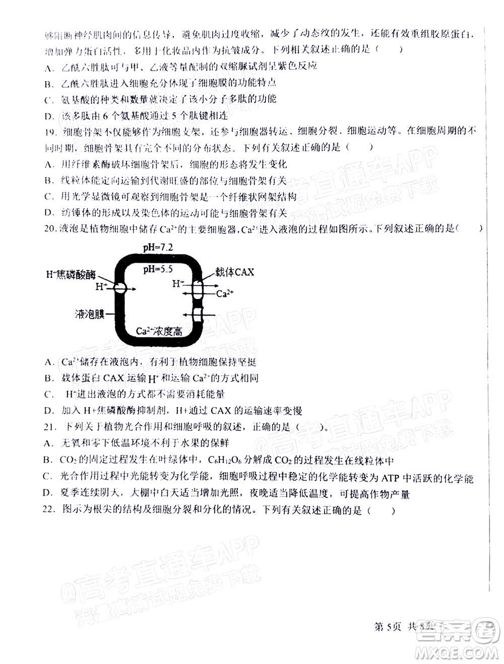 2023屆河北深州中學(xué)高三年級(jí)第一次月考生物試題及答案