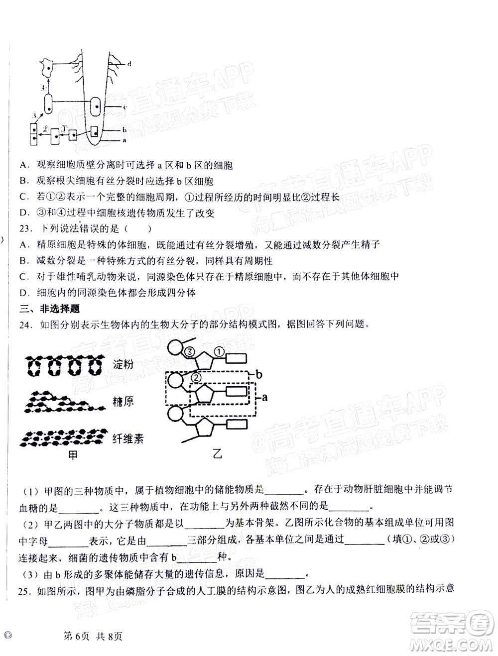 2023屆河北深州中學(xué)高三年級(jí)第一次月考生物試題及答案