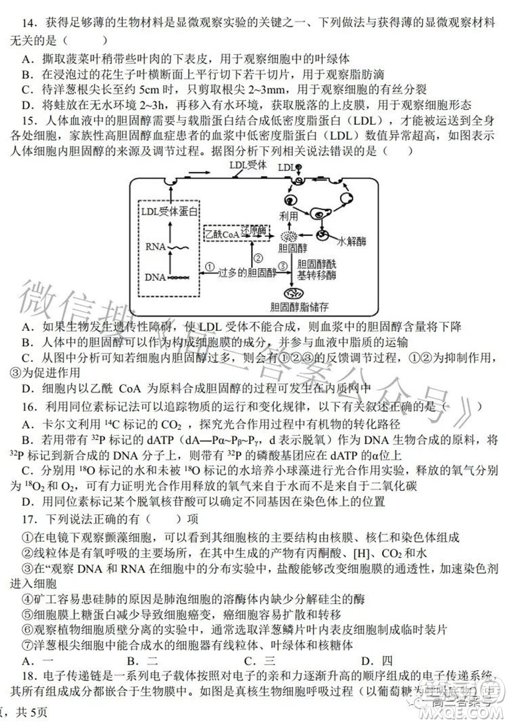 鄭州四中2022-2023學(xué)年高三上學(xué)期第一次調(diào)研考試化學(xué)試題及答案