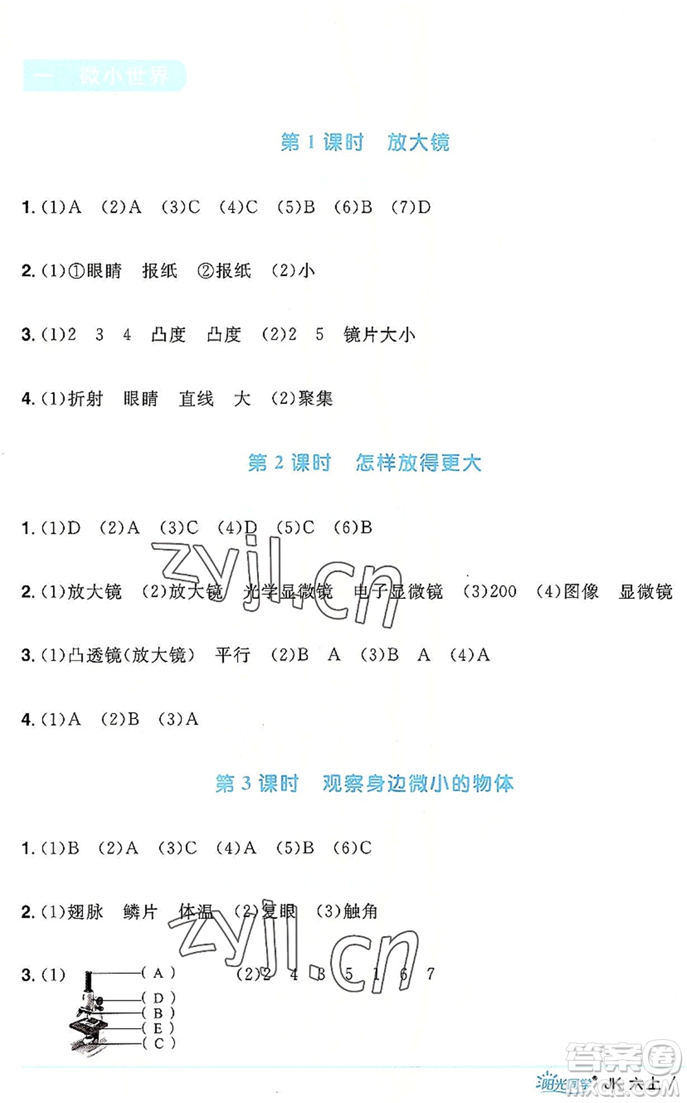 江西教育出版社2022陽光同學(xué)課時優(yōu)化作業(yè)六年級科學(xué)上冊JK教科版答案