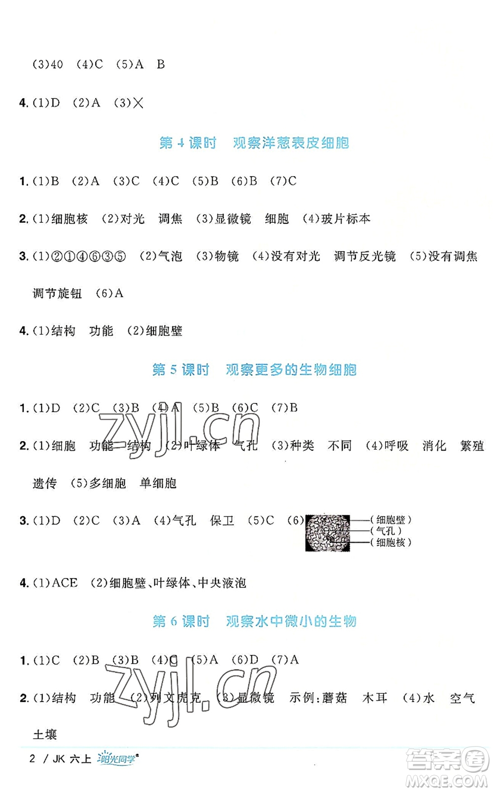 江西教育出版社2022陽光同學(xué)課時優(yōu)化作業(yè)六年級科學(xué)上冊JK教科版答案