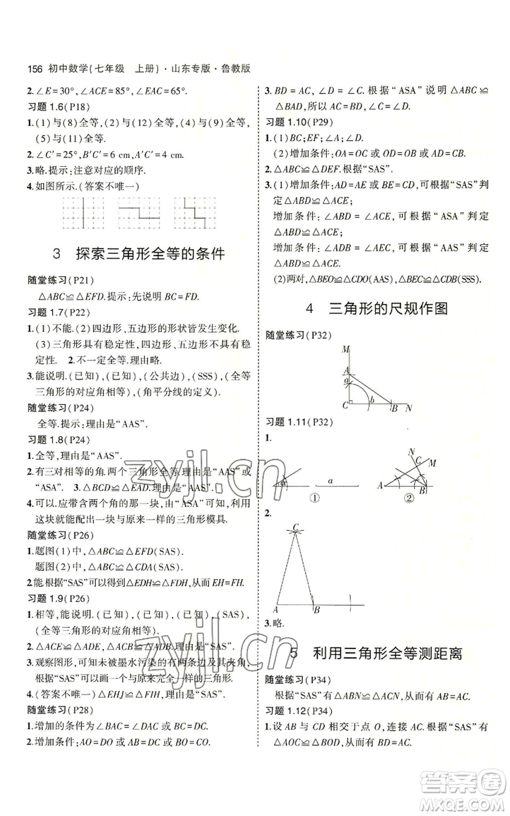 教育科學出版社2023年5年中考3年模擬七年級上冊數學魯教版山東專版參考答案