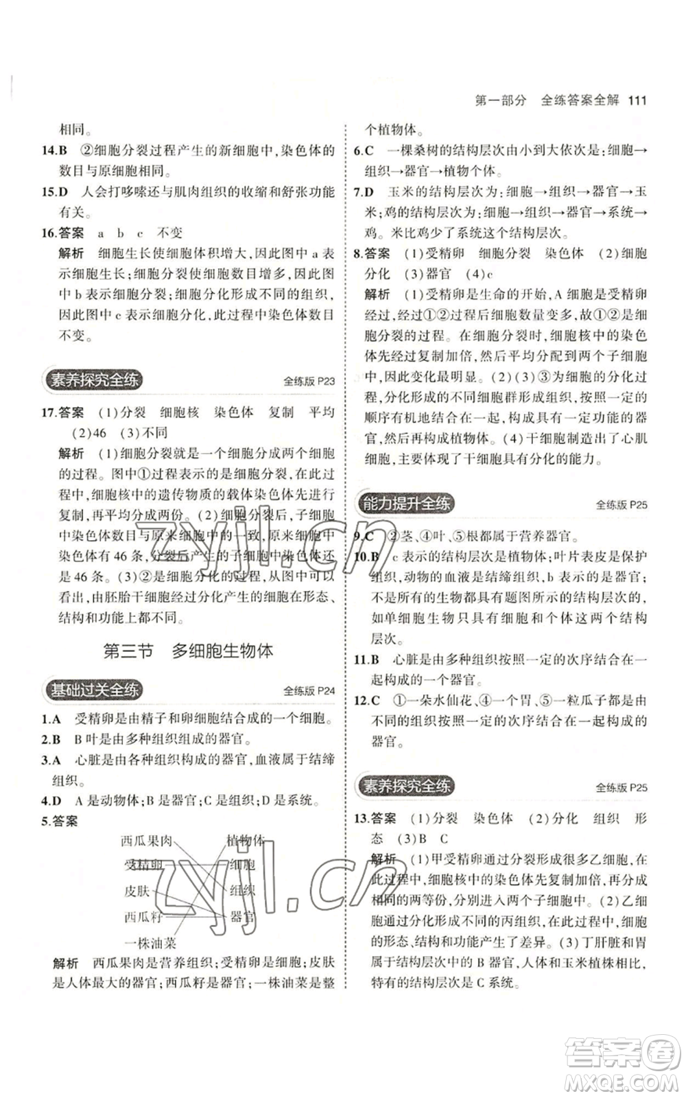 教育科學(xué)出版社2023年5年中考3年模擬七年級(jí)上冊(cè)生物冀少版參考答案