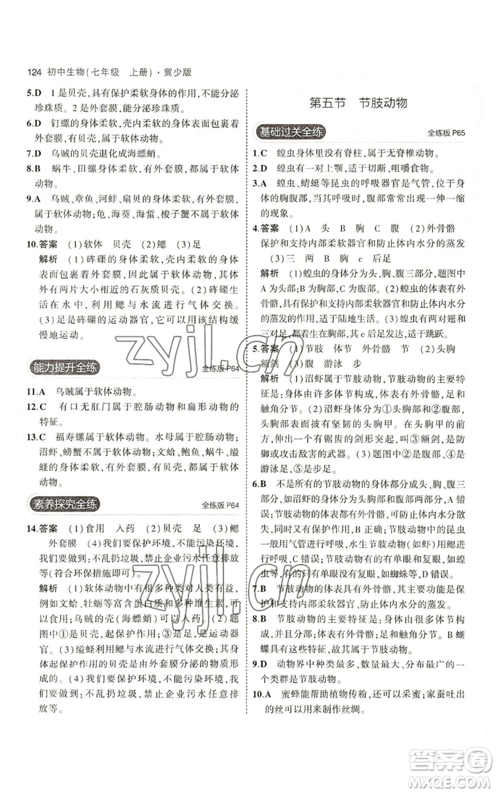 教育科學(xué)出版社2023年5年中考3年模擬七年級(jí)上冊(cè)生物冀少版參考答案