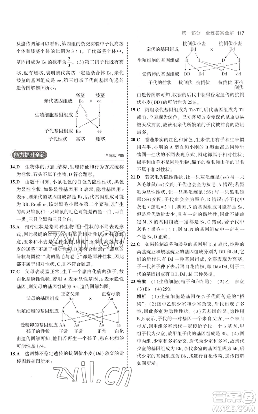 教育科學(xué)出版社2023年5年中考3年模擬八年級上冊生物濟(jì)南版參考答案