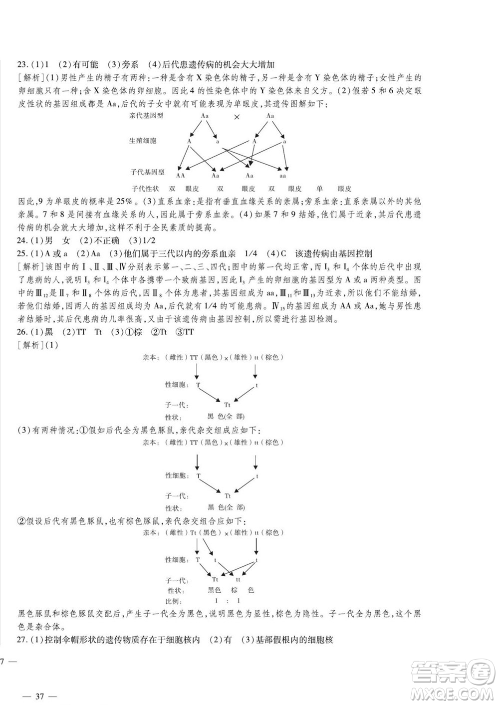 河北大學(xué)出版社2022黃岡全優(yōu)AB卷生物八年級上冊濟南版答案