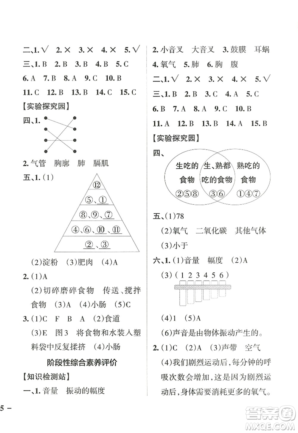 陜西師范大學(xué)出版總社2022PASS小學(xué)學(xué)霸作業(yè)本四年級(jí)科學(xué)上冊(cè)JK教科版答案