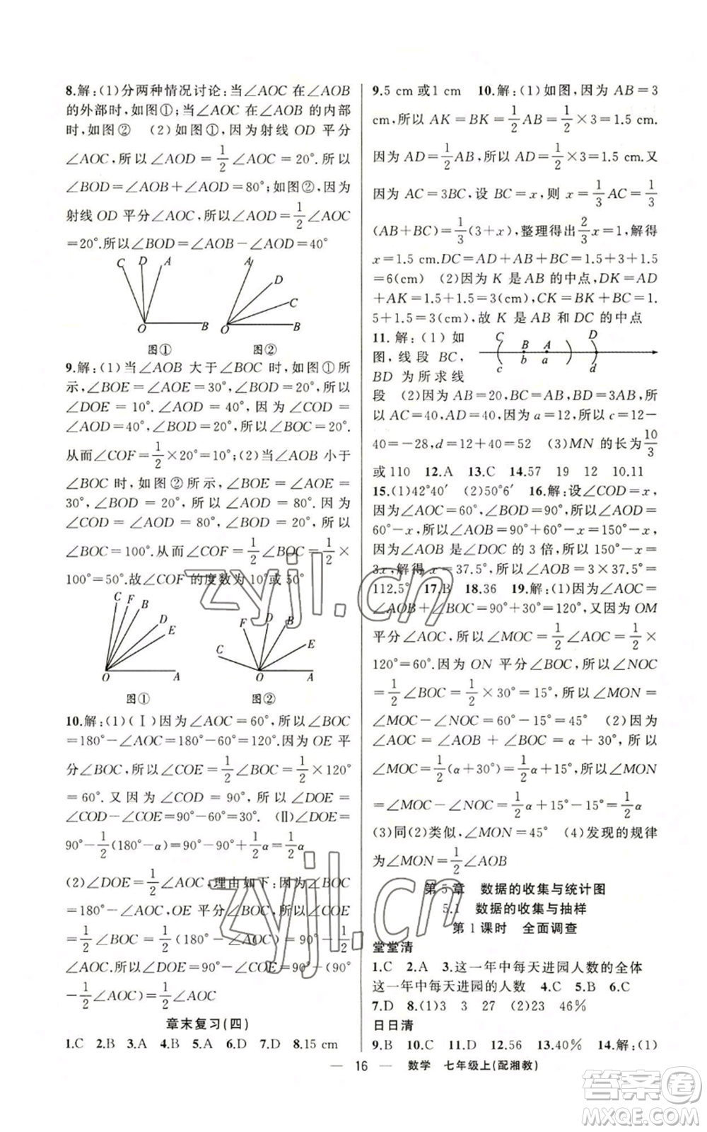 新疆青少年出版社2022四清導(dǎo)航七年級上冊數(shù)學(xué)湘教版參考答案