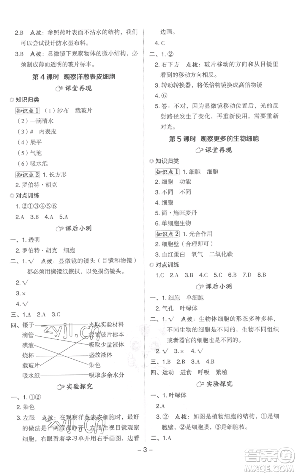 山西教育出版社2022秋季綜合應(yīng)用創(chuàng)新題典中點(diǎn)六年級上冊科學(xué)教科版參考答案