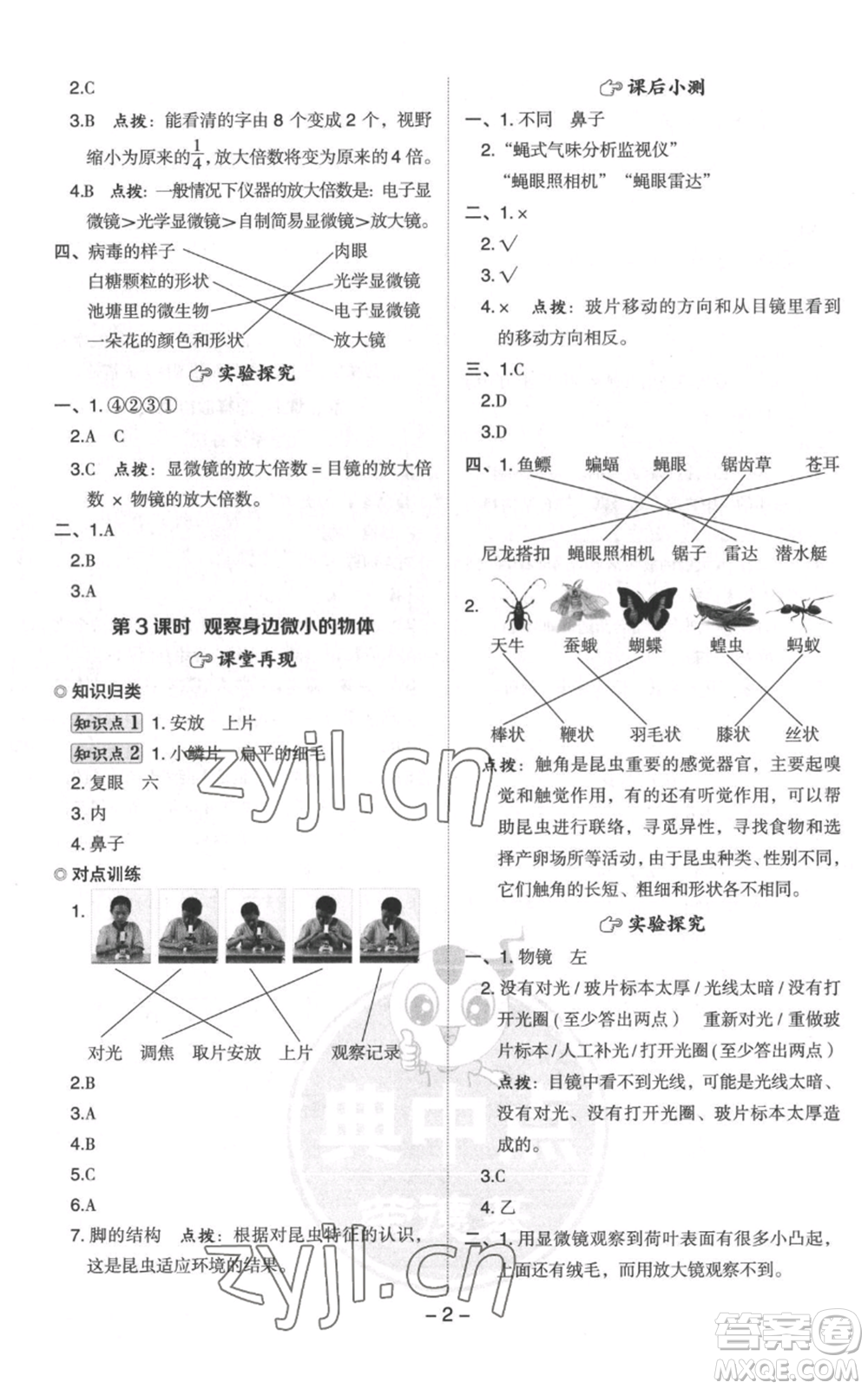 山西教育出版社2022秋季綜合應(yīng)用創(chuàng)新題典中點(diǎn)六年級上冊科學(xué)教科版參考答案