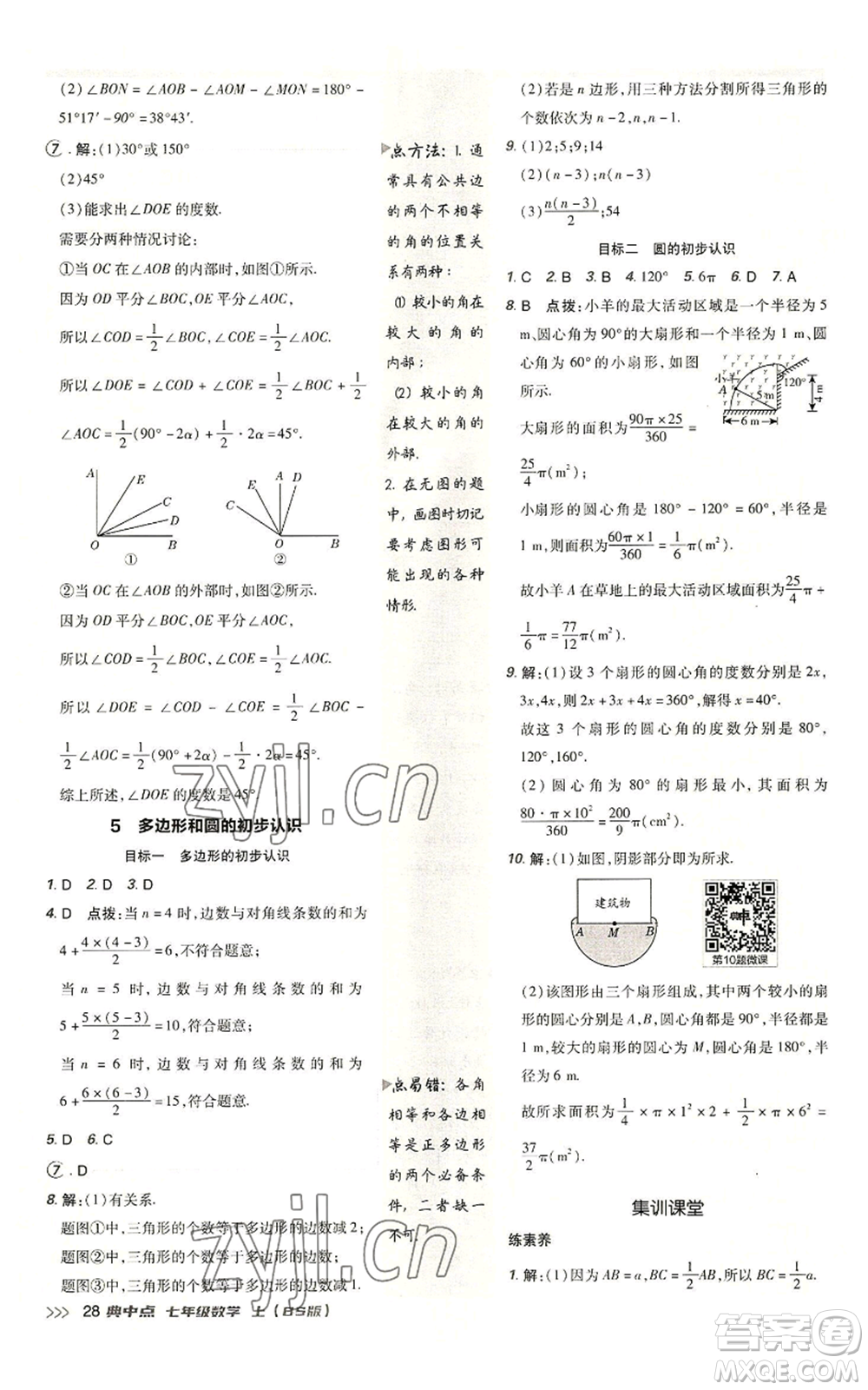 陜西人民教育出版社2022秋季綜合應用創(chuàng)新題典中點提分練習冊七年級上冊數(shù)學北師大版參考答案