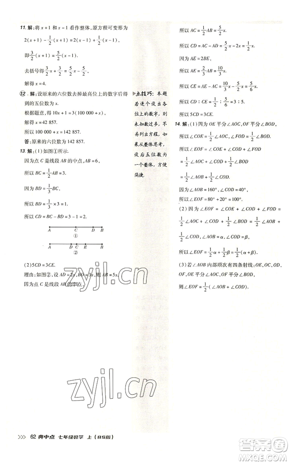 陜西人民教育出版社2022秋季綜合應用創(chuàng)新題典中點提分練習冊七年級上冊數(shù)學北師大版參考答案